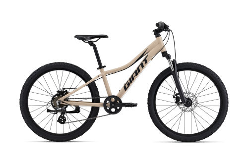 Junior giant bikes sales